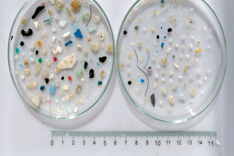  Microplásticos, presentes en lugares dónde la humanidad aún no llega